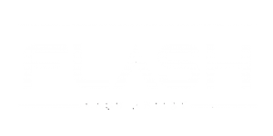 Flash Lash Artist